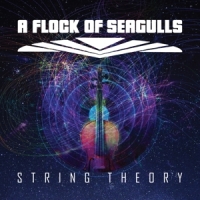 A Flock Of Seagulls String Theory