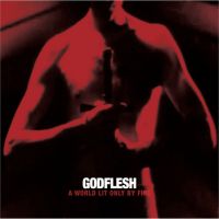 Godflesh A World Lit Only By Fire