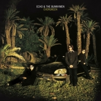 Echo & The Bunnymen Evergreen -coloured-