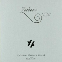 Medeski, Martin & Wood Zeabos:book Of Angels 11