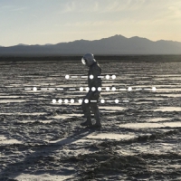 Spiritualized And Nothing Hurt -limited-