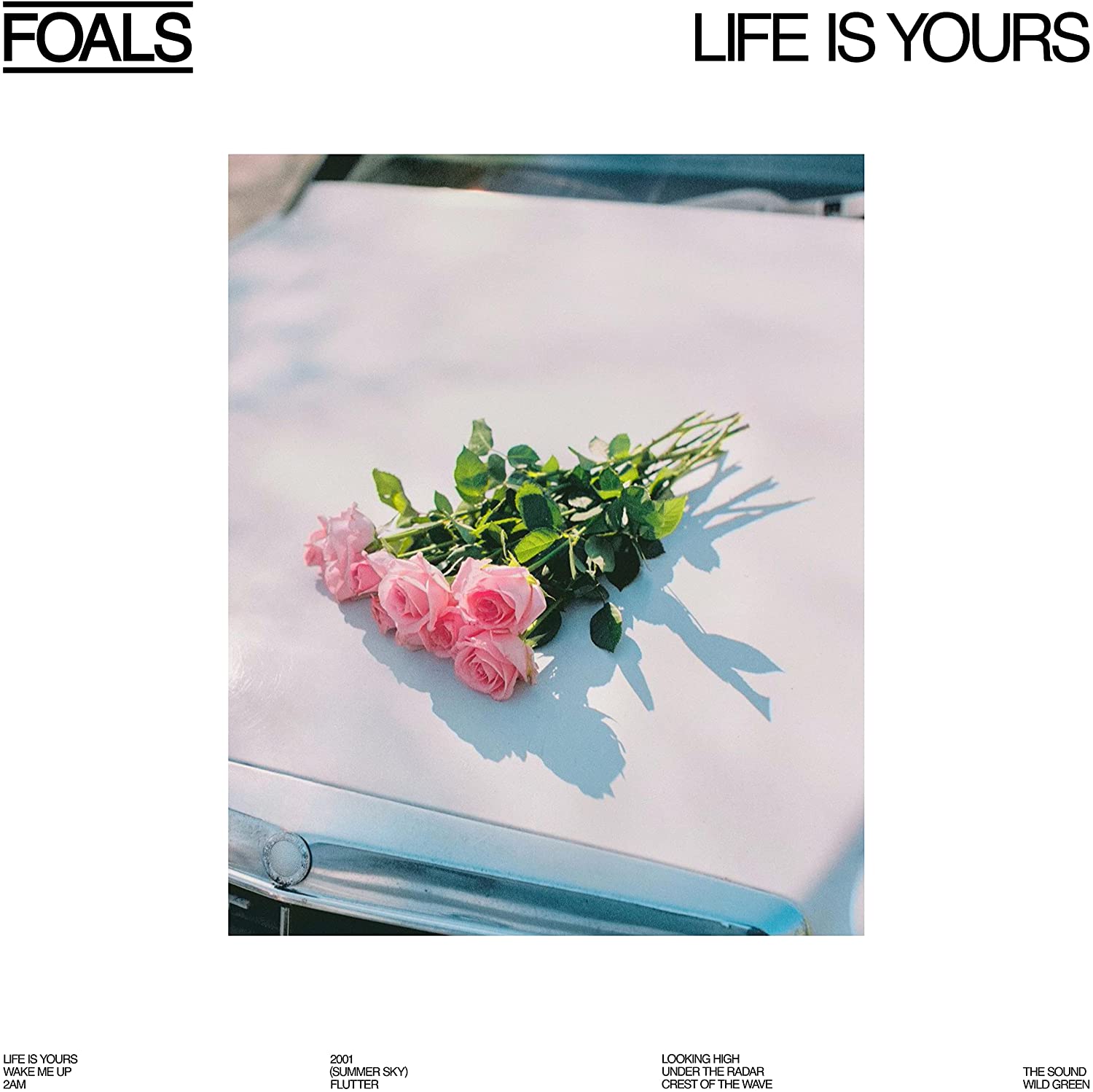 Foals Life Is Yours (gekleurd)