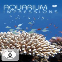 Documentary Aquarium Impressions