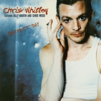 Chris Whitley Perfect Day