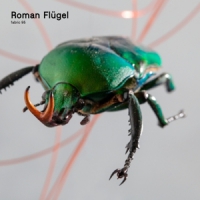 Flugel, Roman Fabric 95 - Roman Flugel