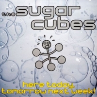 Sugarcubes Here Today, Tomorrow Next Week!