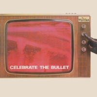 Selecter Celebrate The Bullet
