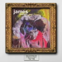 James Justhipper: The Complete Sire & Blanco Y Negro Recordin
