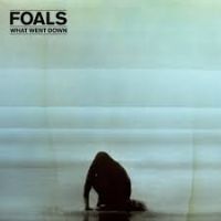 Foals What Went Down (limited Vinyl)