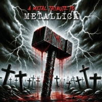 A Metal Tribute To Metallica (red)