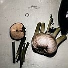Motorpsycho - Still life with Eggplants