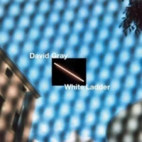 Gray, David White Ladder