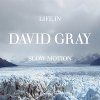 Gray, David Life In Slow Motion (20th Ann. Edit