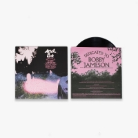 Ariel Pink Dedicated To Bobby Jameson