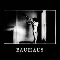 Bauhaus In The Flat Field