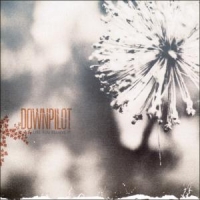 Downpilot Like You Believe It