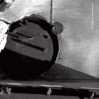 Fear Falls Burning Disorder Of Roots