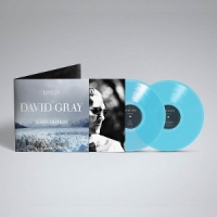 Gray, David Life In Slow Motion (dlx 20th Ann.