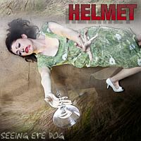 Helmet Seeing Eye Dog