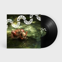 Wired To Ignore Wired To Ignore