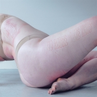 Pva No More Like This