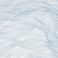 Naqvi, Qasim -  Wadada Leo Smith - A Two Centuries