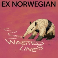Ex Norwegian Wasted Lines