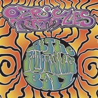Ozric Tentacles At The Pongmasters Ball (cd+dvd)