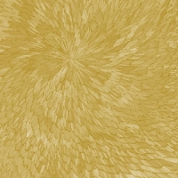 Pjev - Kit Downes - Hayden Chisholm Medna Roso