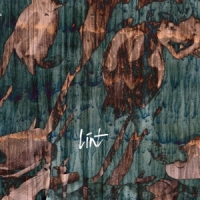 Lint Then They Came For Us