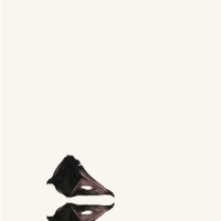 Coil The New Backwards