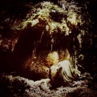 Wolves In The Throne Room Celestial Lineage