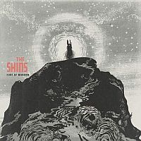 Shins Port Of Morrow