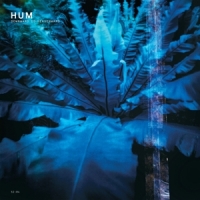 Hum Downward Is Heavenward