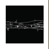 Amenra De Doorn -coloured-