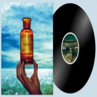Blackfield V