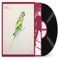 Helicopter Of The Holy Ghost Afters