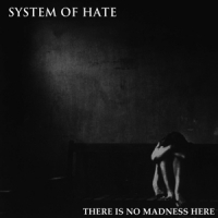 System Of Hate There Is No Madness Here