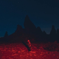 Bridgers, Phoebe Punisher