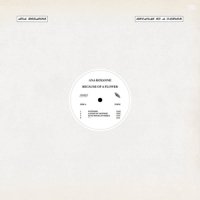 Roxanne, Ana Because Of A Flower