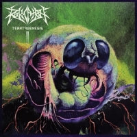 Revocation Teratogenesis -coloured-