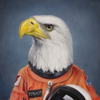 Giant Eagles Second Landing