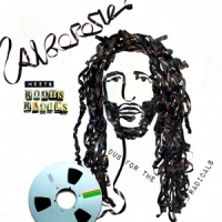 Alborosie Meets Roots Radics Dub For The Radicals