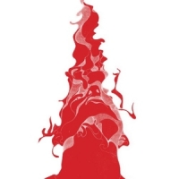 Vibracathedral Orchestra The Secret Base