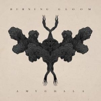 Burning Gloom Amygdala