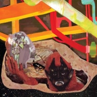 Wolf Parade At Mount Zoomer
