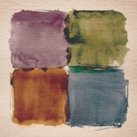 Case Hardin Colours Simple