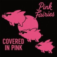 Pink Fairies Covered In Pink