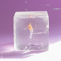 Cubzoa Unfold In The Sky