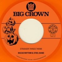 Bacao Rhythm & Steel Band Stranger Things Theme/halloween The